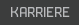Karriere